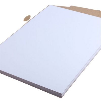 Bestseller A4 Papier 75 80 GSM Jumbo Roll mit 45% Oberflächenglanz und 88% Druckglanz