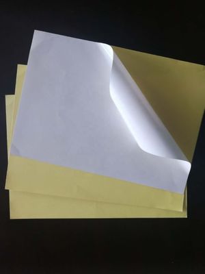 Nicht beschichtetes Papier für PE-Beschichtung und einfache Anwendung