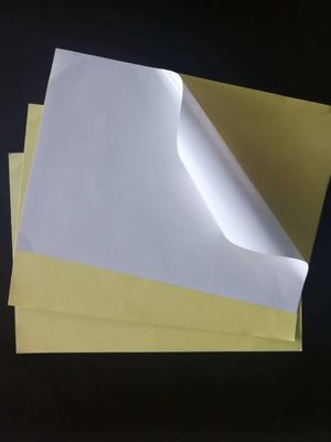 Glänzende Lamination Wärmeübertragung Etikette Jumbo Roll für benutzerdefinierte selbstklebende Papieraufkleber
