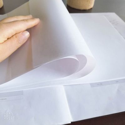 45% Oberflächenglanz A4 Jumbo-Papierrolle Anpassbar mit akzeptabler Bestellung