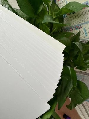 Hotselling-Druckpapier auf Maßstab 210/230/250/270/300gsm FBB/GC1/C1S von Standard