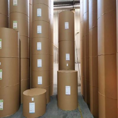 Chemisch-mechanische Zellstoffplatte C1S mit Ivory-Beschichtung für kundenspezifische Bestellungen von Ningbo APP