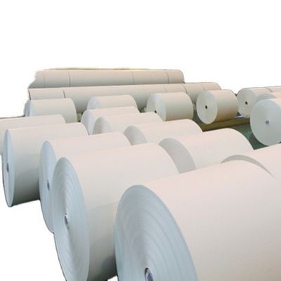 Vielseitiges 70g Kopierpapier Jumbo Roll für alle Druckanforderungen