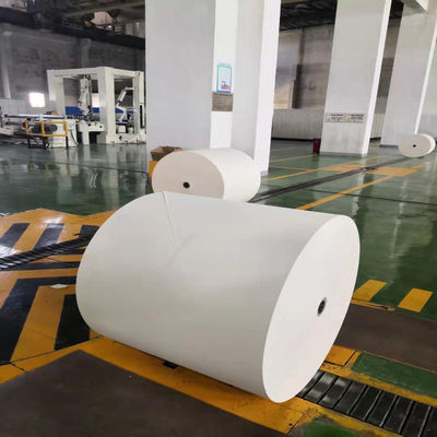 Vielseitiges 70g Kopierpapier Jumbo Roll für alle Druckanforderungen