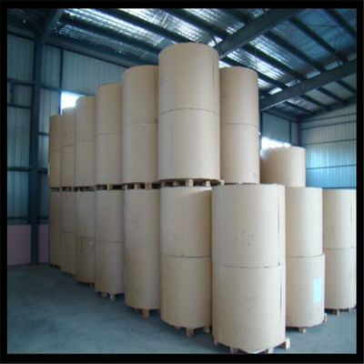 Anti-Curl-Copy-Papier Jumbo-Rolle zum Schneiden von A4 aus Holzzzellstoff