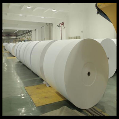 Anti-Curl-Copy-Papier Jumbo-Rolle zum Schneiden von A4 aus Holzzzellstoff