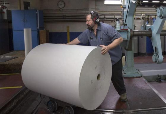 Weißes C1S FBB Elfenbeinkarton GC1 210gsm-400gsm Einseitig beschichtetes Papier für Sandwich