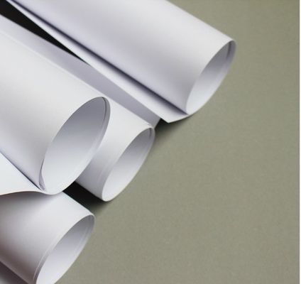 80gm Kopierpapier Jumbo Roll für den Druck auf individuelle Bestellung aus Jungfrau-Zellstoff