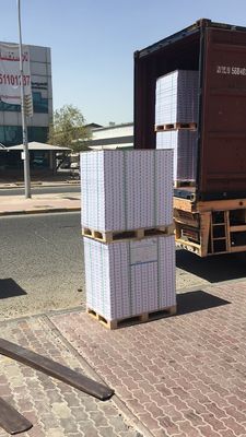 210 gm-400 gm C1S FBB Elfenbeinkarton für die Verpackung