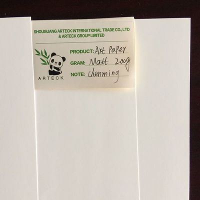 C2S 90gm 300gm Doppelseitig beschichtetes Kunstpapier Glanz Jumbo Roll und Umschlag für den Druck
