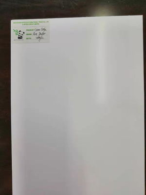 Bondpapier 80-250gm Kunstpapier Matte in Ream-Packung mit doppelseitiger Beschichtung