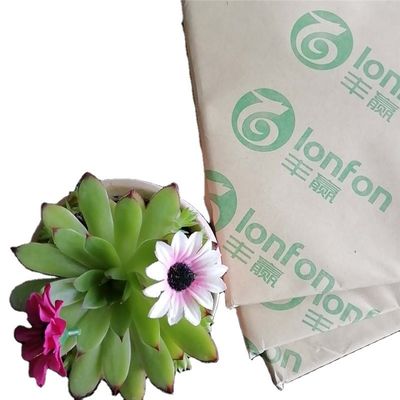 55G-120G Bindungspapier für Offestdruck in Anti-Curl von LONFON/chenming/APP
