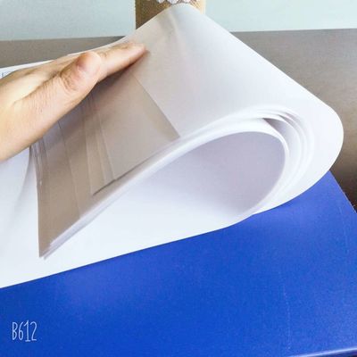Doppelseitig beschichtetes Nevia-Kunstpapier in Rollen-/Blattverpackung für professionelle Ergebnisse