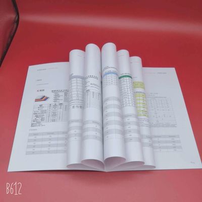 Doppelseitig beschichtetes Nevia-Kunstpapier in Rollen-/Blattverpackung für professionelle Ergebnisse