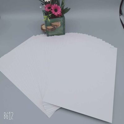 Zenith High Bulk C1S Beschichtet Ningbo Fold FBB Elfenbeinkarton Ideal für Geschenkverpackung Papier