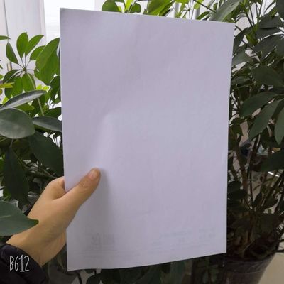 70GSM 80GSM Rohweißpapier von Yunbao für Lebensmittelverpackungspapier
