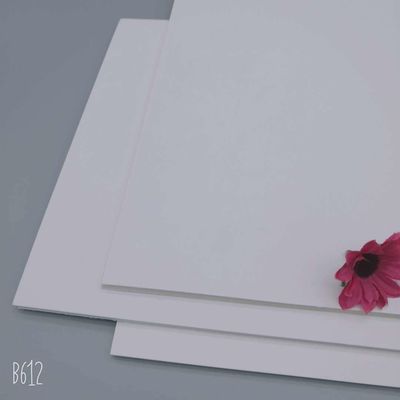 FBB/GC1/C1S Geschenkverpackung 100% Jungfruchtzellstoff 210/230/250/270/300/350/400gm