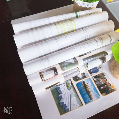 Doppelseitig beschichtetes Kunstpapier mit einer Breite von 80-250 g in Ream-/Roll-Packung