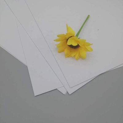 Zollvorschriften und Anti-Curl-Nevia-Kunstpapier für den Druck