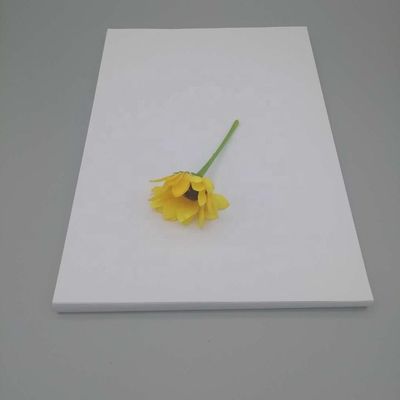 Zollvorschriften und Anti-Curl-Nevia-Kunstpapier für den Druck