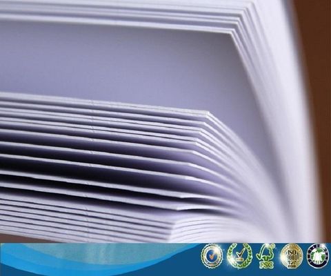 Chemisch-mechanische Zellstoffmasse FBB/Fold C1S FOLDING BOX BOARD/Ivory Board für Feuchtigkeitssicherung
