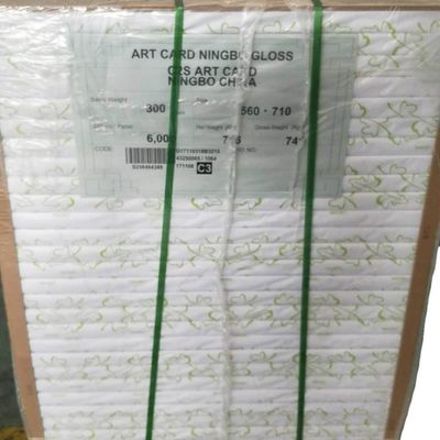 Holzzzellstoff FBB Elfenbeinkarton aus Ningbo Fold akzeptiert kundenspezifische Bestellung und ist anpassbar