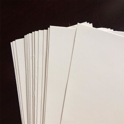 Holzzzellstoff Ningbo Fold FBB/Elfenbeinkarton Das perfekte Verpackungs- und Druckmaterial