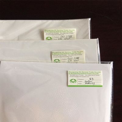 Holzzzellstoff Ningbo Fold FBB/Elfenbeinkarton Das perfekte Verpackungs- und Druckmaterial
