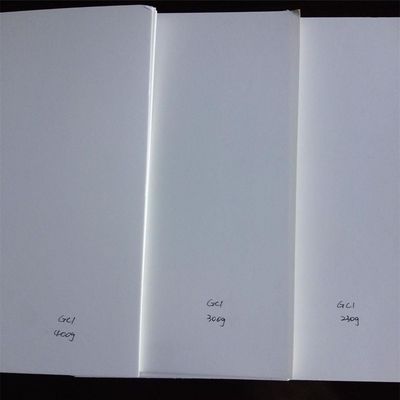 Holzzzellstoff Ningbo Fold FBB/Elfenbeinkarton Das perfekte Verpackungs- und Druckmaterial